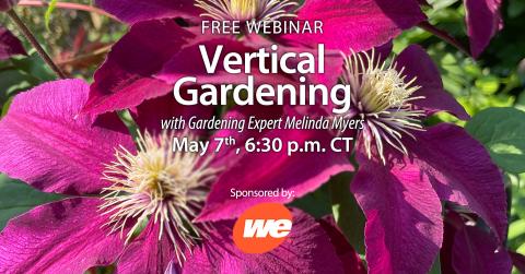 vertical gardening