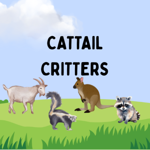 cattail critters