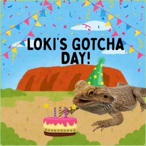 Gotcha Day