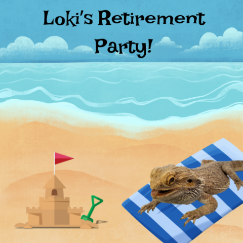 A beach with a bearded dragon on the sand. Text that says "Loki's retirement party"
