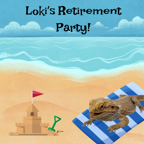A beach with a bearded dragon on the sand. Text that says "Loki's retirement party"